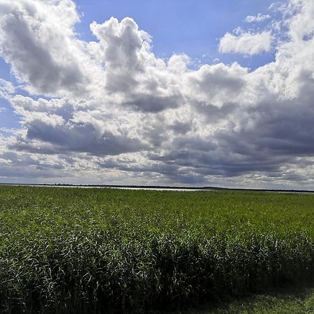 Fewo Weg 2 Heringsdorf (Usedom) Exterior photo