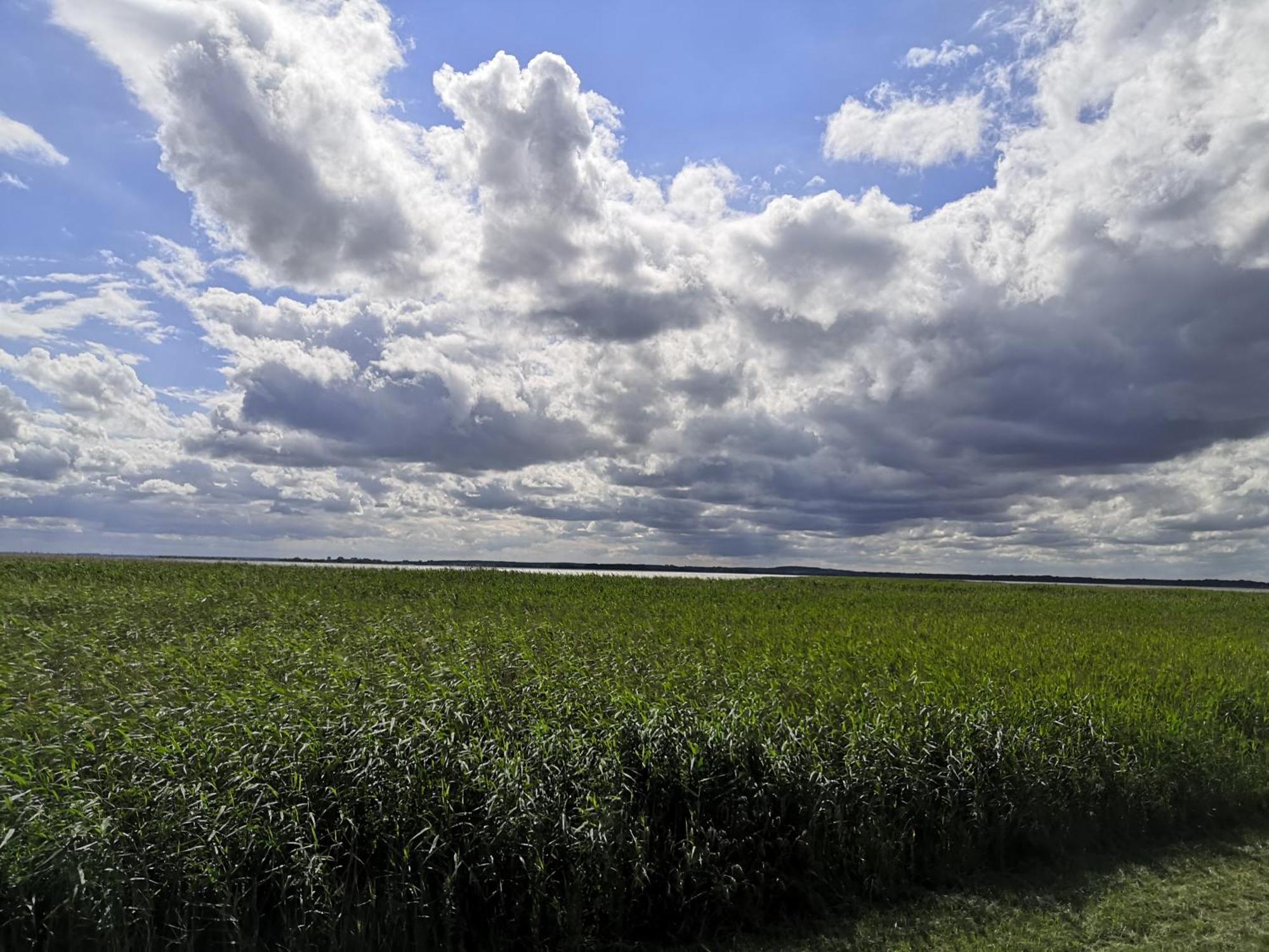 Fewo Weg 2 Heringsdorf (Usedom) Exterior photo